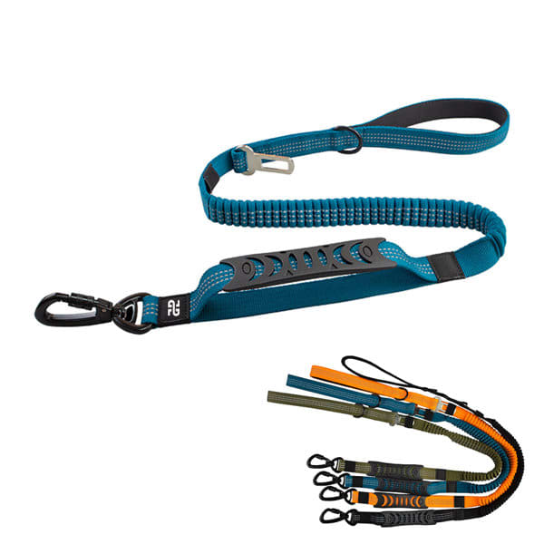 A reflective pet car seat leash in teal with a bungee section, featuring multiple attachment points and a variety of colours. Retractable Pet Car Seat Reflective Leash - Image 1